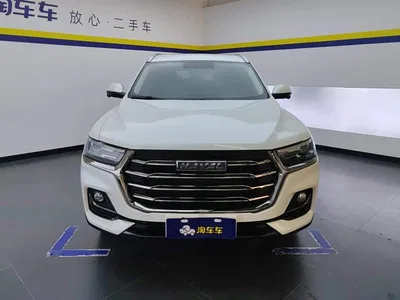2021 Haval H6 Model National Trend Edition 1.5T Auto Champion, фото 2, лот 10298591
