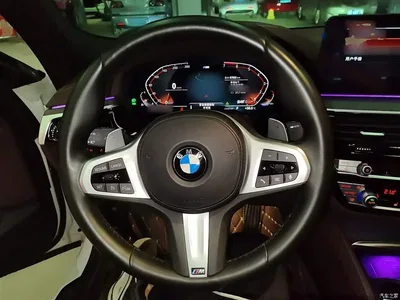 2021 BMW 5 Series 530Li Leading M Sport Package, фото 3, лот 10444262