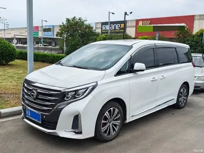 2020 GAC Trumpchi Trumpchi M8 Pilot 390T Prestige Edition, фото 1, лот 11089556