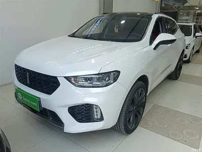 2017 WEY VV5 2.0T Flagship Model, фото 2, лот 10452383