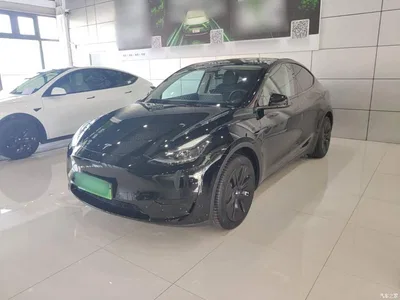 2022 Tesla Model Y Facelift Rear-Wheel Drive Version, фото 1, лот 11202513