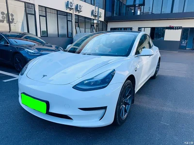 2020 Tesla Model 3 Standard Range Rear-Wheel Drive Upgrade, фото 1, лот 10598190