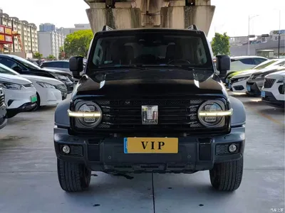 2021 Tank 300 Off-road Edition 2.0T Explorer, фото 3, лот 10344734