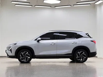 2024 Wuling Motors Wuling Xingguang S 510km Navigation Edition, фото 4, лот 10836466