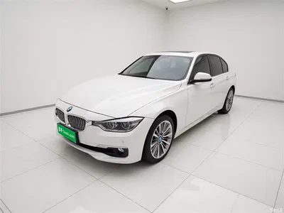 2019 BMW 3 Series 320Li Fashion Type, фото 1, лот 10458109