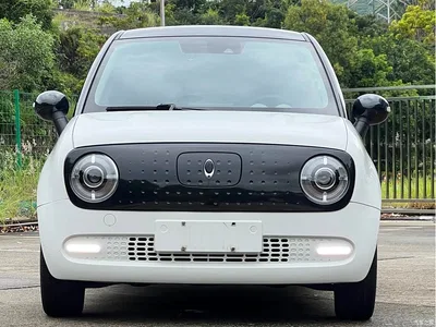 2019 Ora Black Cat 351km Goddess Edition, фото 2, лот 10331560