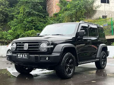 2021 Tank 300 Off-road Version 2.0T Conqueror, фото 1, лот 10344354