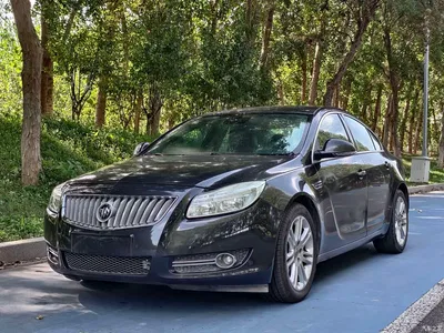 2009 Buick Regal Model 2.4L Elite Edition, фото 1, лот 10256795