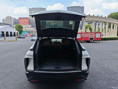 2022 Cadillac IQ Rui Ge Rear-Wheel Drive Long Range Premium Edition, фото 3, лот 11170649