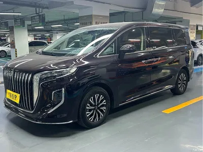 2024 Hongqi HQ9 PHEV Model 2.0T AWD Luxury Edition, фото 1, лот 10288366