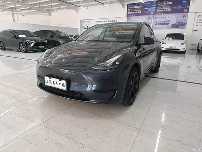 2024 Tesla Model Y Rear-Wheel Drive Version, фото 1, лот 10894813