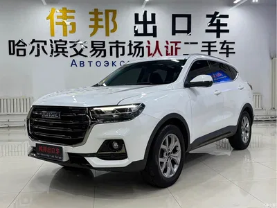 2021 Haval H6 Model National Trend Edition 1.5T Auto Champion, фото 1, лот 10301110