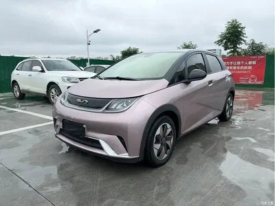 2024 BYD Dolphin Glory Edition 420km Fashion Edition, фото 1, лот 11196440