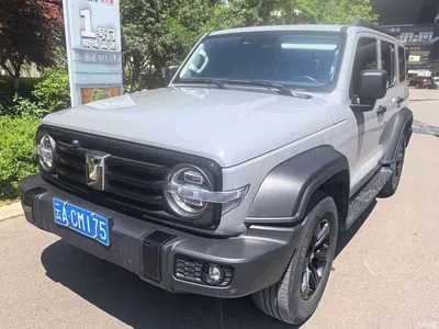 2024 Tank 300 Model 2.0T Challenger, фото 1, лот 10285052