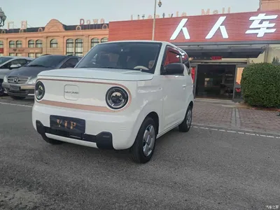 2025 Geely Galaxy Panda Model Year 210km Panda Kart, фото 1, лот 10430462