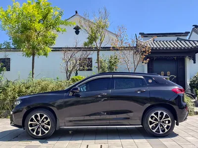 2017 WEY VV7 2.0T Super Luxury, фото 3, лот 10434913