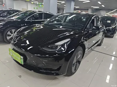 2021 Tesla Model 3 Standard Range Rear-Wheel Drive Upgrade, фото 2, лот 10369452