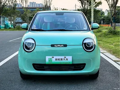 2022 Changan Qiyuan Changan Lumin 210km Sweet Edition, фото 2, лот 10606801