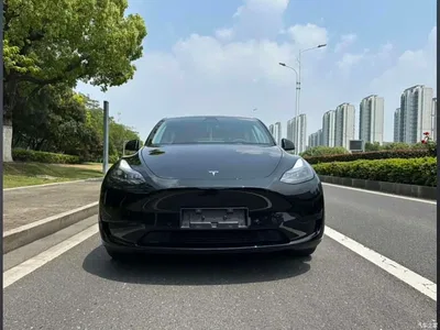 2022 Tesla Model Y Rear-Wheel Drive Version, фото 2, лот 11188070