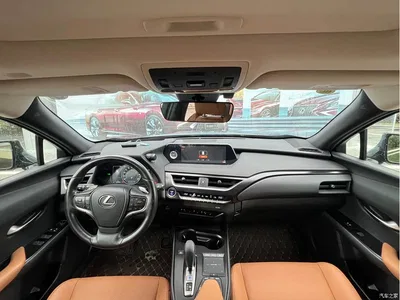 2020 Lexus UX Electric 300e Pure Enjoyment Edition, фото 4, лот 11220851