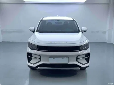 2023 Geely Radar Radar Horizon Model 410km Entrepreneur Edition, фото 2, лот 11204872