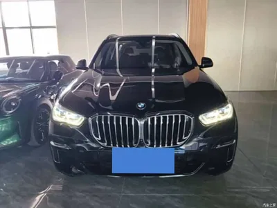 2022 BMW X5 xDrive 30Li Premium M Sport Package, фото 2, лот 10770736