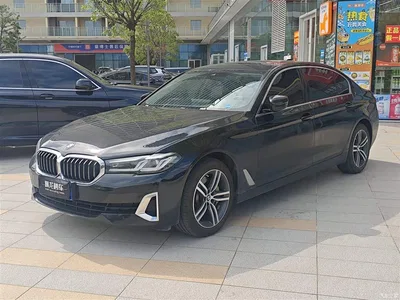 2021 BMW 5 Series 530Li Leading Luxury Package, фото 1, лот 10449487
