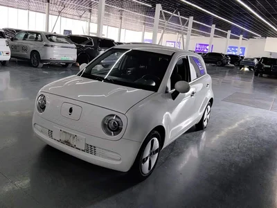 2021 Ora Black Cat 301km Basic Model, фото 1, лот 10331505