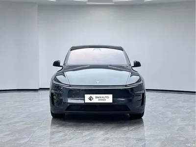 2025 Tesla Model Y Rear-Wheel Drive, фото 4, лот 10435049