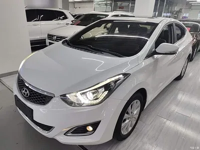 2016 Hyundai Langdong 1.6L Automatic Premium Edition, фото 2, лот 10831509