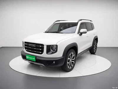 2022 Haval Big Dog 1.5T DCT FWD Border Collie Edition, фото 1, лот 11224592