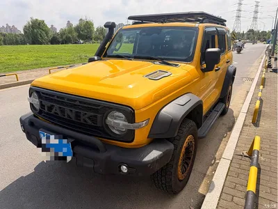 2022 Tank 300 2.0T Border Limited Edition, фото 1, лот 10345144