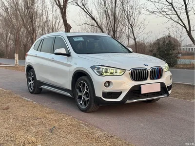 2019 BMW X1 sDrive18Li Premium Model, фото 1, лот 10464953