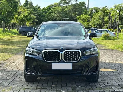 2022 BMW X4 xDrive 30i M Sport Package, фото 2, лот 10476836