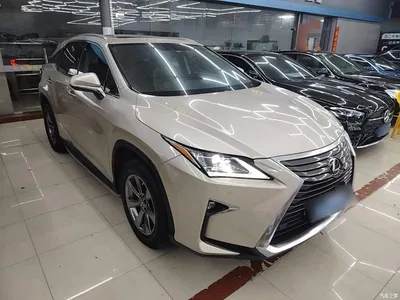 2016 Lexus RX 300 2WD Comfort Edition China V, фото 4, лот 10319133