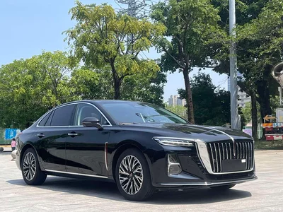 2024 Hongqi H5 2.0T Automatic Smart Connect Flag Smooth Edition, фото 3, лот 10287952