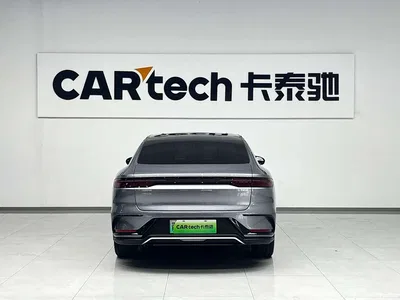 2023 BYD Han DM-i Champion Edition 121KM Premium, фото 3, лот 10249893
