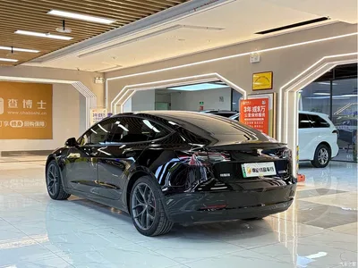 2022 Tesla Model 3 Performance High-Performance AWD, фото 3, лот 11548318