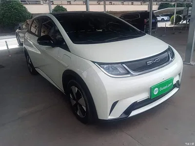 2023 BYD Dolphin 420km Fashion Edition, фото 4, лот 11012089