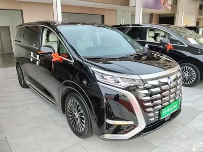 2022 Denza D9 DM-i 1040 Premium, фото 4, лот 11187212
