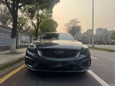 2021 Geely Xing Rui 2.0TD Luxury, фото 2, лот 10359076
