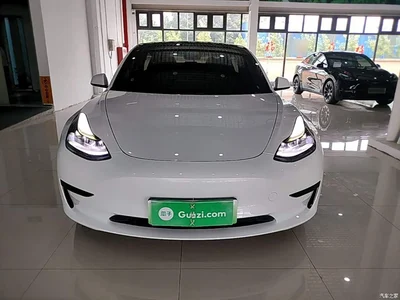 2021 Tesla Model 3 Standard Range Rear-Wheel Drive Upgrade, фото 3, лот 10370557