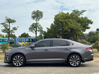 2025 Geely Xing Rui Oriental Glory 2.0TD Moon View Edition, фото 4, лот 10358920