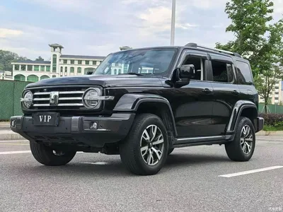 2023 Tank 300 Off-Road Edition 2.0T Conqueror, фото 3, лот 10344340