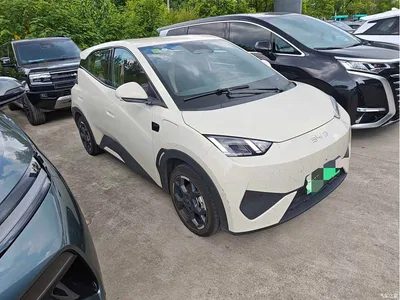 2025 BYD Seagull Smart Driving Edition 405km Flying Edition, фото 4, лот 10254227