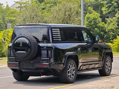 2024 Yangwang U8 Off-Road Player Edition, фото 4, лот 11644561