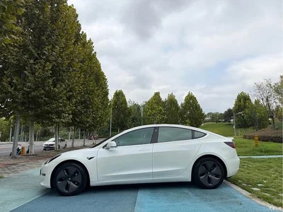 2019 Tesla Model 3 (Import) Long Range All-Wheel Drive Edition, фото 3, лот 10830266