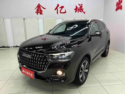 2023 Haval H6 National Trend Edition 1.5T Automatic Champion, фото 1, лот 11187097