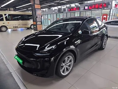 2022 Tesla Model Y Facelift Rear-Wheel Drive Version, фото 2, лот 10369969