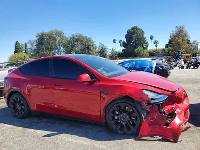 2023 TESLA MODEL Y, фото 4, лот 10855762